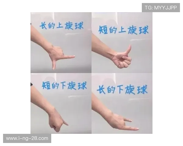 上海乒乓球队转型之路：从传统打法到现代竞技的深度解析